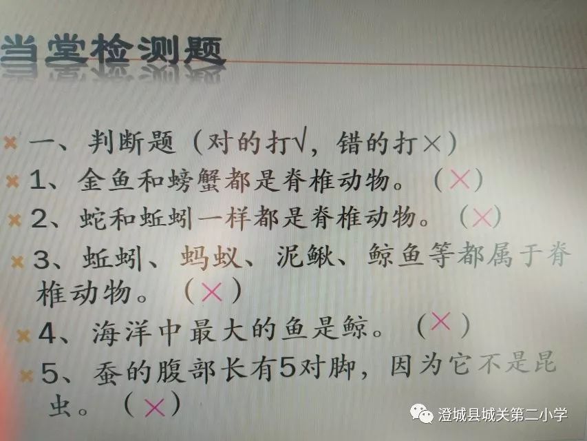 体育教学随笔_体育教学随笔：课堂体验与教学反思分享
